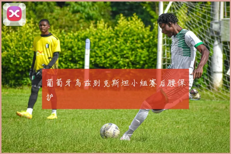 葡萄牙乌兹别克斯坦小组赛后腰保护