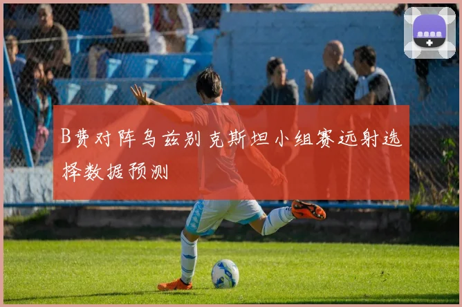 B费对阵乌兹别克斯坦小组赛远射选择数据预测
