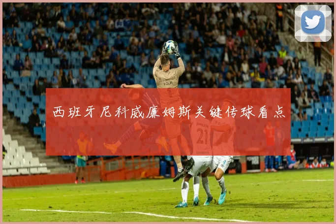 西班牙尼科威廉姆斯关键传球看点