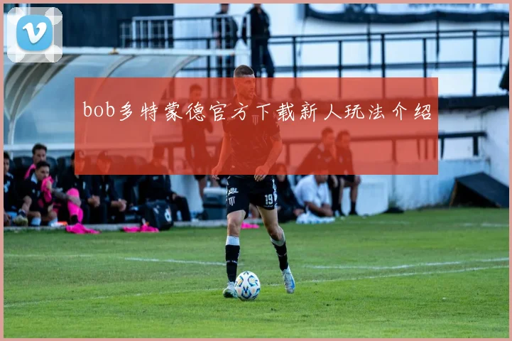bob多特蒙德官方下载新人玩法介绍